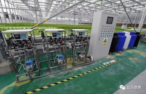 新型植物工厂 生物科技驱动的未来粮食解决方案