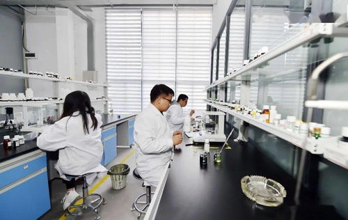 工业遗产蝶变记 昆明茨坝生物科技小镇，打造生命科学新引擎